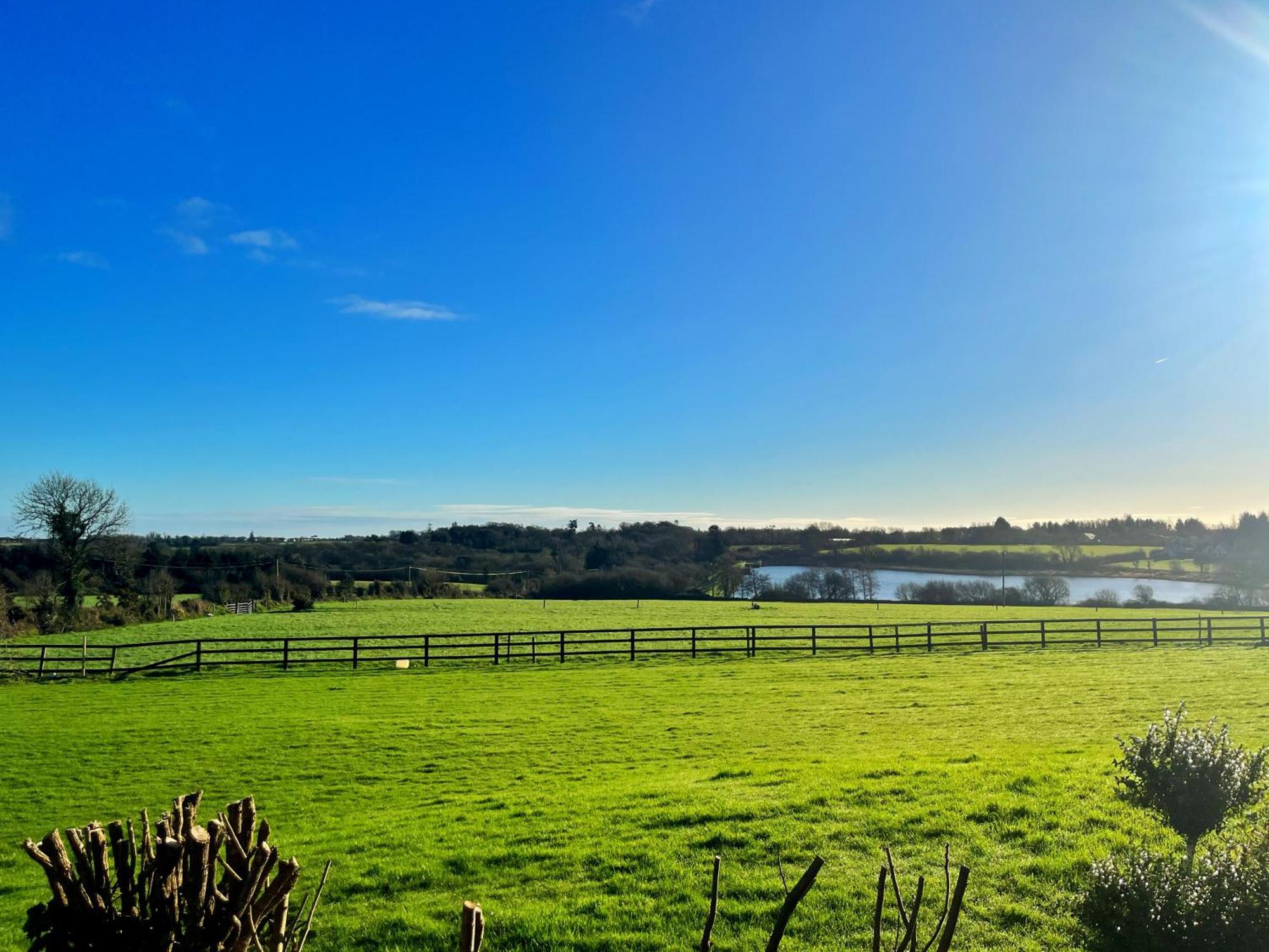 The Starlings Country House Уэксфорд Экстерьер фото